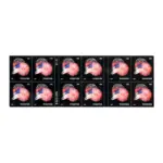 2014 US First-Class Forever Stamp - The Star Spangled Banner Booklet