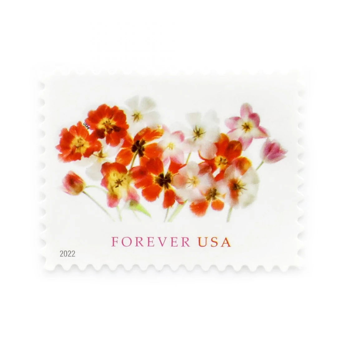 product_image_1767476859 2022 US Forever First-Class Postage Tulips Stamps